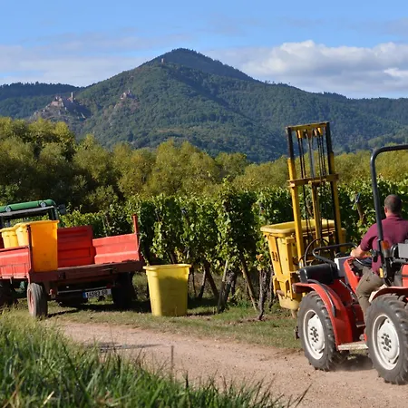 Сasa de vacaciones Jeanne Familial - Calme - Parking *