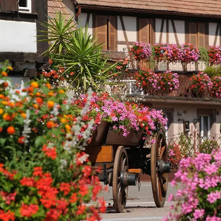 Jeanne Familial - Calme - Parking Holiday home Ebersheim